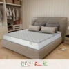 Ecoroyal Matelas 140 X 200 Cm, H 16 Cm, Orthopédique, Livré Sous Vid...